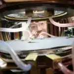 Beynimiz sözsüz, gözlərimiz vasitəsilə ünsiyyət qura bilir