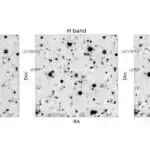 Alimlər Yerin dərin torpağında yeni mikroblar aşkar ediblər