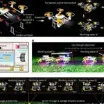 Kainatımız son kompüterdirmi?