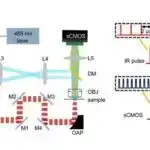Arxeoloqlar bərabərsizlik və davamlılıq arasında tarixi əlaqəni aşkar edirlər