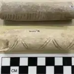 Həddindən artıq mikrob uyğunlaşmaları Amerikanın ən çirklənmiş su yollarından birində yaranır