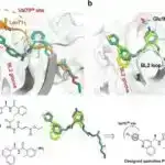 Əsas beyin fərqləri Ritalinin niyə bəzilərində diqqəti digərlərindən daha çox yaxşılaşdırdığını izah edə bilər
