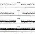 Çiçək qabı ilanının DNT təmiri qabiliyyəti insanın Daun sindromu kimi genetik şərtləri haqqında məlumat verir.