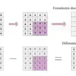Kolumbiyada təbiət uçotu yerli ekosistemləri qorumaq üçün sağlam iqtisadi vəziyyət yaradır