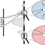 Kainatımız son kompüterdirmi?