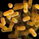 Mexanik anlayış batareyaları daha sürətli doldurmağa imkan verə bilər