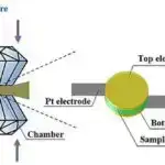 Çinin cənubunda aşkar edilmiş ən qədim fosfat stromatoporoid süngər