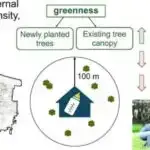 Yastı qurd araşdırması göstərir ki, kök hüceyrələrin bərpası üçün mövqe siqnalları lazımdır