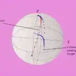 Monqolustanın Qobi səhrasında dinozavrlar dövrünə aid yeni məməli növünün fosili tapılıb.