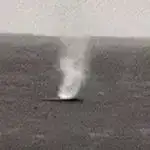 Yırtıcı ölçüsü canavar, ayı və pumalar arasında rəqabətdə təəccüblü rol oynayır