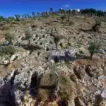 “Maşın öyrənməsinin dövri cədvəli” çərçivəsi innovasiyaları sürətləndirmək üçün AI modellərini birləşdirir