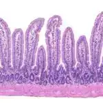 Üst-kvark cütlərinin maraqlı çoxluğu ən kiçik kompozit hissəciyin kəşfinə işarə edir