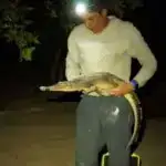 Tədqiqat göstərir ki, yeraltı nüvə sınaqları partlayışları zəlzələ siqnalları içərisində gizlənə bilər