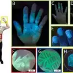 Antikythera Mexanizminin mürəkkəb dişliləri: Qədim astronomik cihazın simulyasiyaları potensial tıxanma problemlərini ortaya qoyur