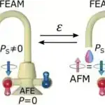 Bitcoin investoru son qütb macərası üçün bütün SpaceX uçuşunu alır