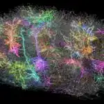 Inuit dillərində həqiqətən qar üçün çoxlu söz varmı? 616 dildə apardığımız araşdırmadan ən maraqlı tapıntılar