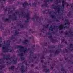 C. elegans-da lipid-transfer tunel zülalının strukturu aşkar edilmişdir