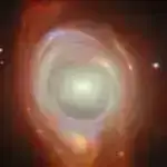 Gənc bitkilərin zəifliyi böyümə-enerji mübadiləsi ilə əlaqələndirilir