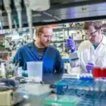 Fizika enerji səmərəliliyi üçün optimal dam nisbətlərini ortaya qoyur