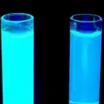 Avropa kartofunun genomunun şifrəsi açıldı: Tədqiqatçılar böyük fərqlərə malik kiçik genofond tapırlar