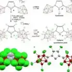 Tədqiqat bacısız böyümənin böyüklərin beyninə və davranışına təsirini araşdırır