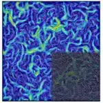 Qrafen cibləri olan Pt nano-katalizator yanacaq hüceyrəsinin davamlılığını və səmərəliliyini artırır