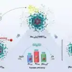 Ağıllı çatdırılma texnologiyası CRISPR səmərəliliyini artırır, siçanlarda görmə qabiliyyətini bərpa edir