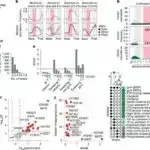Hey, polimer yarımkeçiricimin üstündəki bu əyri yaşıl işıqlar nədir?