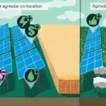 Yüksək texnologiyalı stiker əsl insan emosiyalarını müəyyən edə bilir