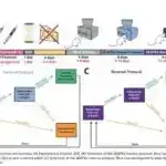 Qlobal tədqiqatın nəticələrinə görə, orta yaşlı amerikalılar yaşlılara nisbətən daha çox təklik hiss edirlər