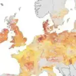 Yeni patoblokator Salmonella infeksiyalarını erkən dayandıra bilər