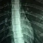 Qaynaqdan başqa: Tədqiqatçılar iki metaldan ibarət vahid kompleks strukturu 3D çap edirlər