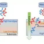 Atəşböcəyi işığı hüceyrə dəyişikliklərini aşkar edən sensora səbəb olur