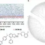 X-ray binar 4U 1907+09: NuSTAR müşahidələri axının dəyişkənliyini və aşağı düşməsini aşkar edir
