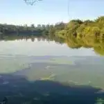 Kiçik maqnit ipək dəmir hissəcikləri dərmanları birbaşa əldə etmək çətin olan xəstəliklərə yönəldə bilər