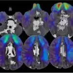 Cənubi Afrika mağarasından alınan qədim alətlər tarixdən əvvəlki insanlar arasında əlaqələri aşkar edir