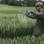 Kvant algılama maneəsini aradan qaldırmaq: Yeni protokol dekoherensiyanın məhdudlaşdırılmasına qarşı çıxır