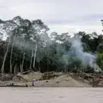 Qvatemala cəngəlliyində qurbangah Maya və Teotihuakan mədəniyyətlərinin qarışdığını göstərən sübutlar tapıb, ekspertlər deyirlər