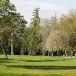 Enerji saxlama üçün yeni forma: Konus və disk karbon strukturları natrium-ion batareyaları üçün yeni yollar təklif edir