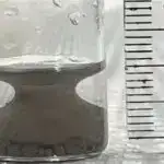 18 illik tədqiqatın nəticələrinə görə, evlilik yaşlı yetkinlərdə daha yüksək demans riski ilə əlaqələndirilir