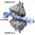 Hunqa vulkanının püskürməsinin gözlənilməz Cənub yarımkürəsində soyutma effekti geomühəndislik fərziyyələrini çətinləşdirir
