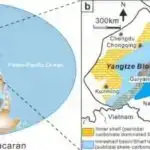 Alimlər “Fiona” adlı hamilə ixtiozavrın həyatı və dövrünə işıq salıblar