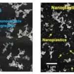 “Fövqəlbəşər görmə”: Güclü 3D təsvir texnologiyası gələcək nəsil göz izləmə üçün yol açır