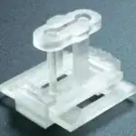 Məməlilərdə quş qripinin yayılması ikiqat artaraq insan riskini artırır: Hesabat