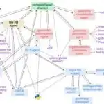 İqlim dəyişikliyi bütün dünyada şərab bölgələrinə ayıqlayıcı təsir göstərir, lakin qeyri-bərabər təsir göstərir