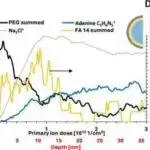 SP11 molekulu stresli hüceyrələrdə enerji istehsalını bərpa edərək, mitoxondrial parçalanmağı geri qaytarır.