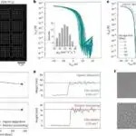 Mərakeşin Tangier yarımadasında qədim qəbiristanlıqlar və qayaüstü rəsmlər aşkar edilib