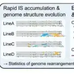 Oyster qalıqları istixana iqlimində zəif mövsümilik mifini pozur