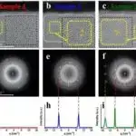 Parkinson xəstəliyinin redaktəsi – iltihablı RNT-ni redaktə edən fermentin kəşfi