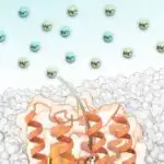 Araşdırmaya görə, ABŞ-da artıq ölüm halları COVID-19 pandemiyasından sonra da artmağa davam edir